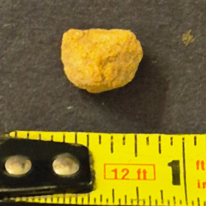 NATURAL NATIVE COLORADO CRYSTALLINE GOLD MINERAL SPECIMEN 0.6 GRAMS OURAY CO