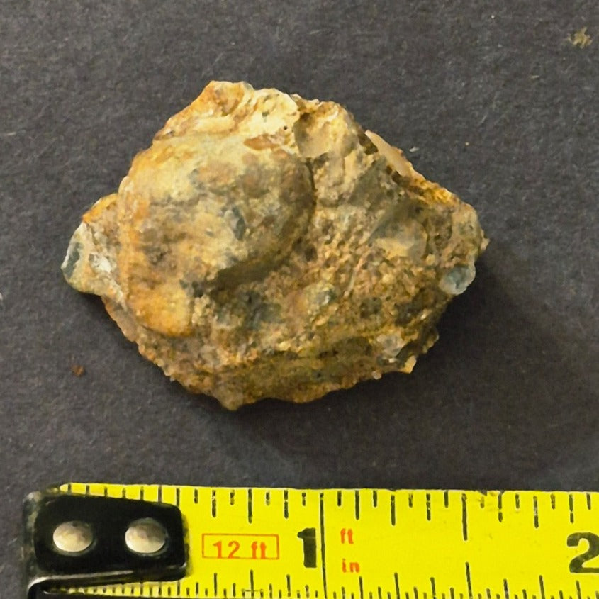 COLORADO QUARTZ GOLD ORE MINERAL SPECIMEN 23.7 GRAMS CLEAR CREEK CO