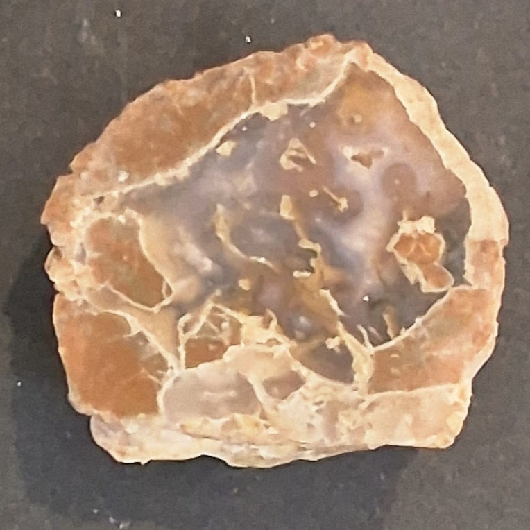 CUT POLISHED OREGON THUNDER EGG SLAB 68.1 GRAMS