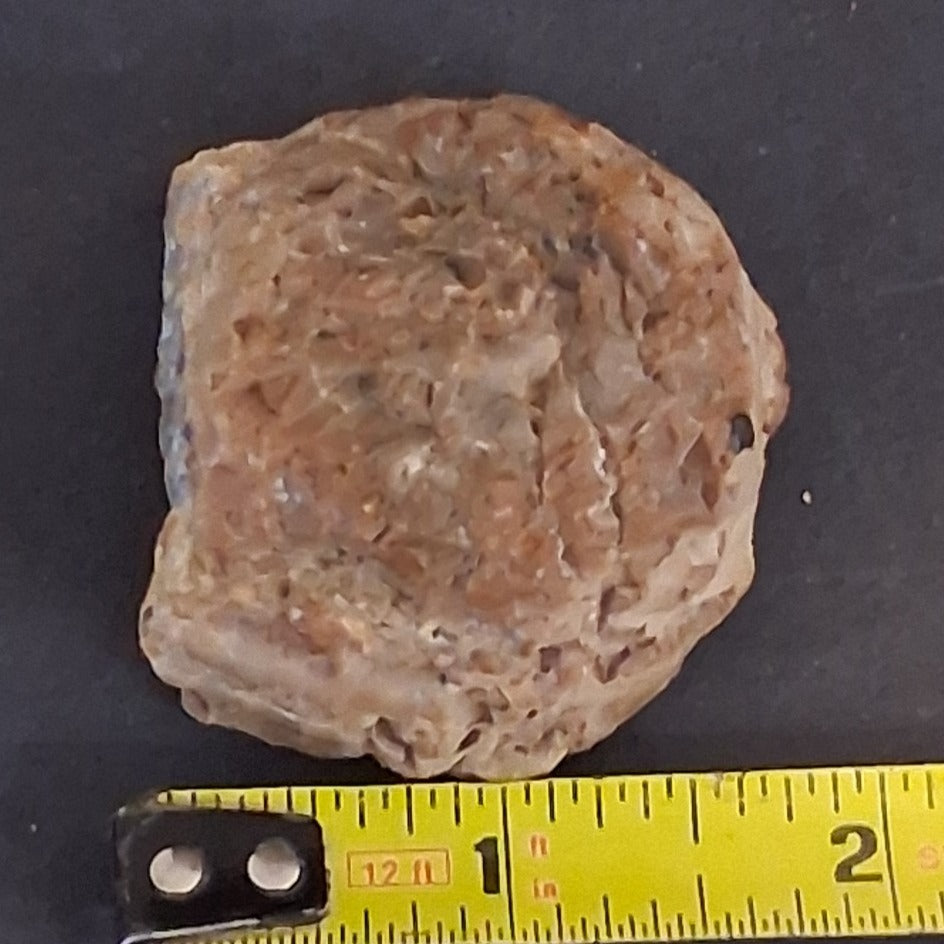 CUT POLISHED OREGON THUNDER EGG SLAB 68.1 GRAMS