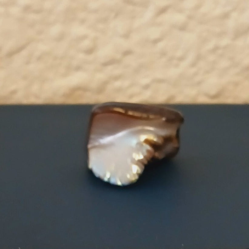 NATURAL RAW LOOSE ABALONE PEARL 19 CARAT MOTHER OF PEARL