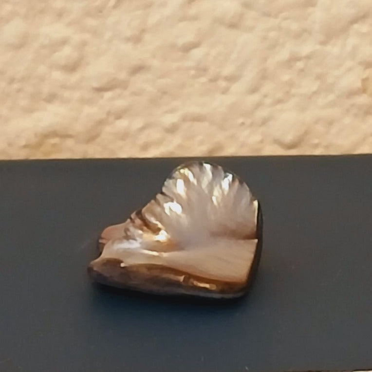 NATURAL RAW LOOSE ABALONE PEARL 19 CARAT MOTHER OF PEARL