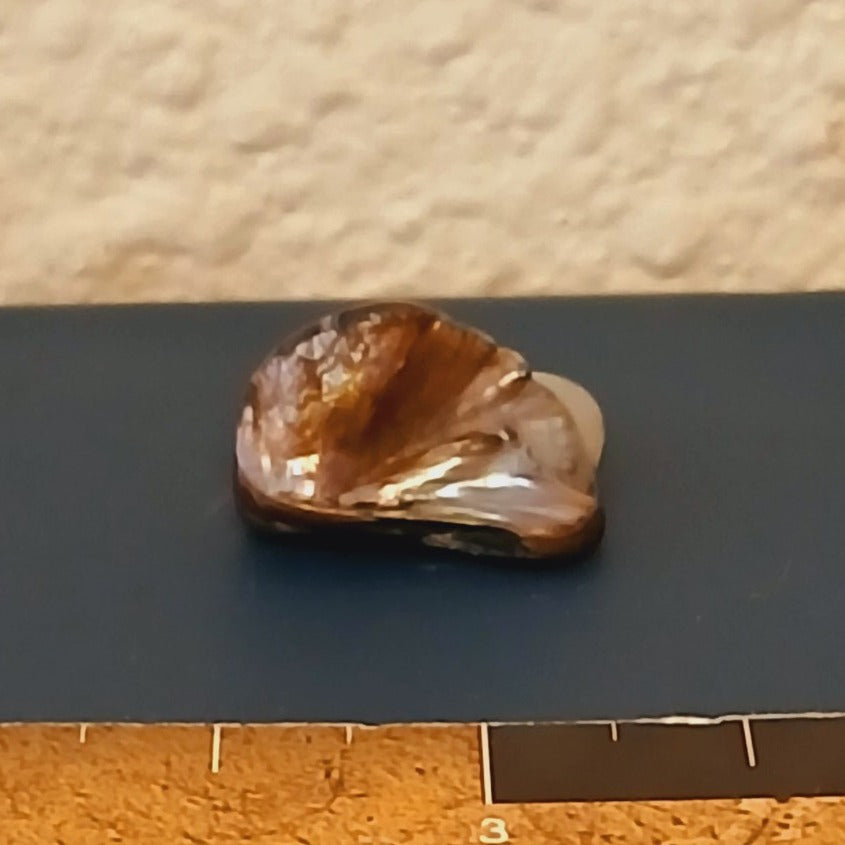 NATURAL RAW LOOSE ABALONE PEARL 19 CARAT MOTHER OF PEARL