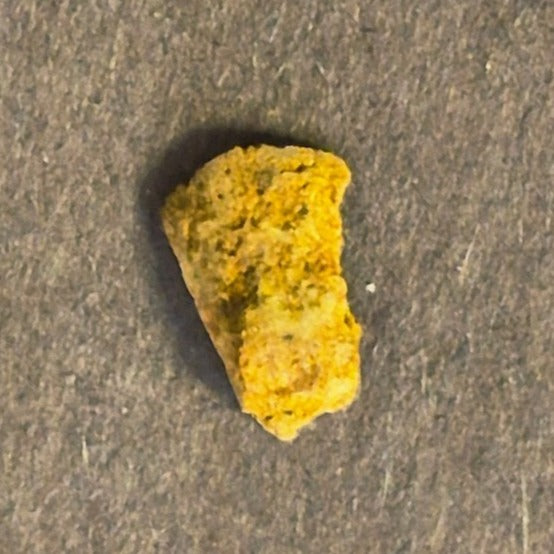 NATURAL COLORADO CRYSTALLINE GOLD NUGGET MINERAL SPECIMEN 0.2 GRAMS OURAY COUNTY