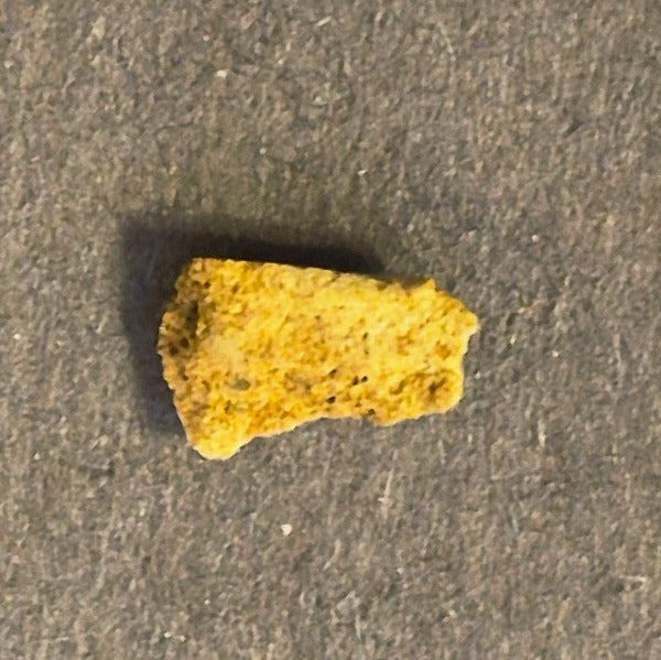NATURAL COLORADO CRYSTALLINE GOLD NUGGET MINERAL SPECIMEN 0.2 GRAMS OURAY COUNTY