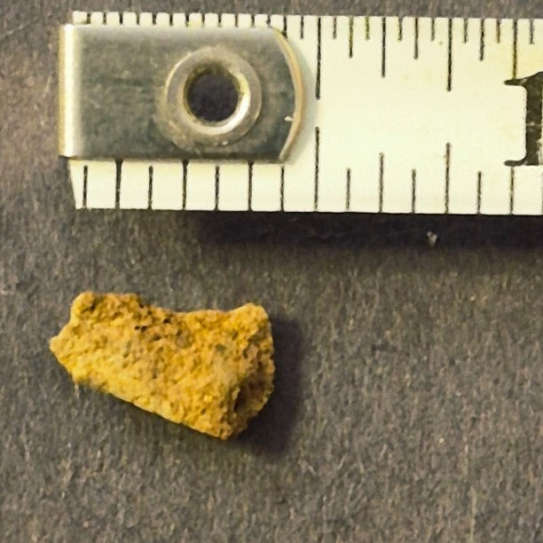 NATURAL COLORADO CRYSTALLINE GOLD NUGGET MINERAL SPECIMEN 0.2 GRAMS OURAY COUNTY