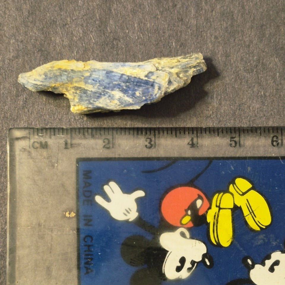NATURAL ROUGH KYANITE CRYSTAL 5 GRAMS APPALACHIAN MOUNTAINS VIRGINIA