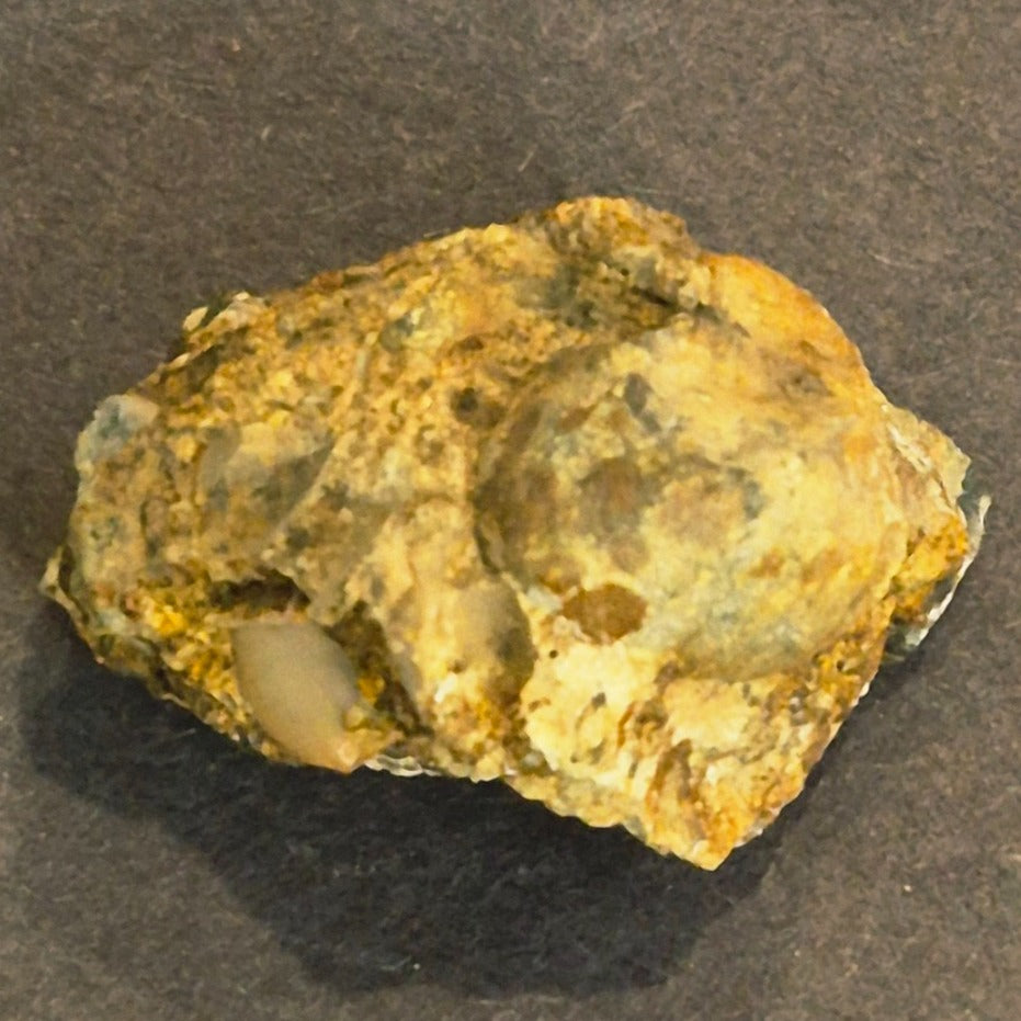 COLORADO QUARTZ GOLD ORE MINERAL SPECIMEN 27.8 GRAMS CLEAR CREEK CO
