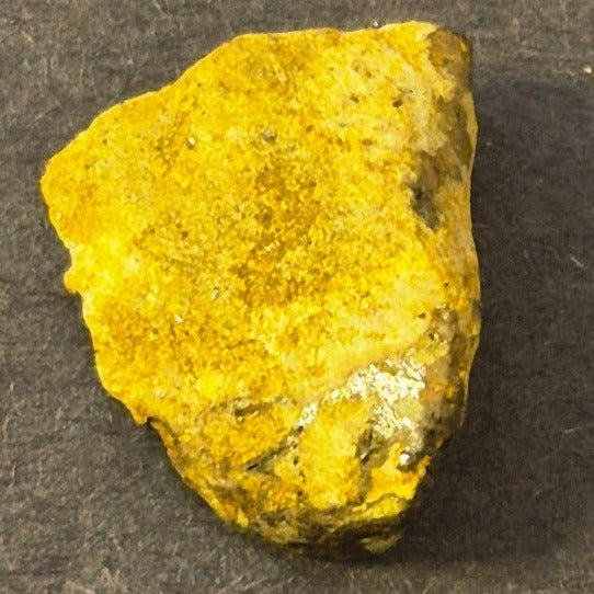 NATURAL COLORADO PLACER GOLD NUGGET MINERAL SPECIMEN 2.5 GRAMS PITKIN COUNTY