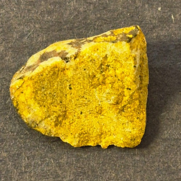 NATURAL COLORADO PLACER GOLD NUGGET MINERAL SPECIMEN 2.5 GRAMS PITKIN COUNTY