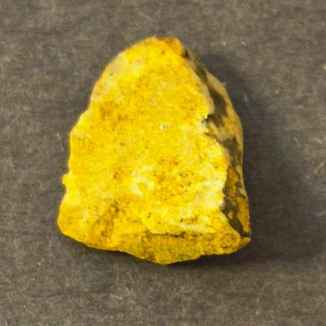 NATURAL COLORADO PLACER GOLD NUGGET MINERAL SPECIMEN 2.5 GRAMS PITKIN COUNTY