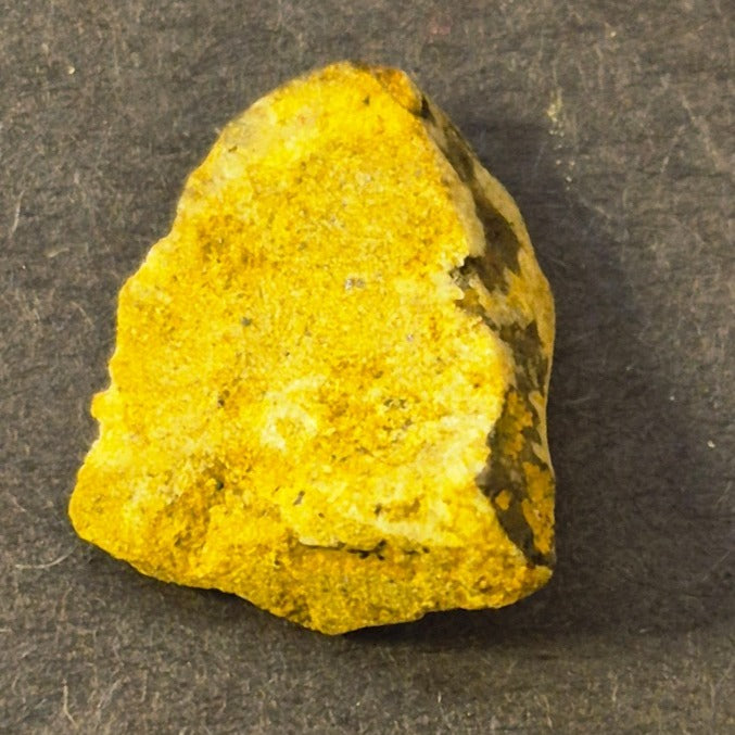 NATURAL COLORADO PLACER GOLD NUGGET MINERAL SPECIMEN 2.5 GRAMS PITKIN COUNTY