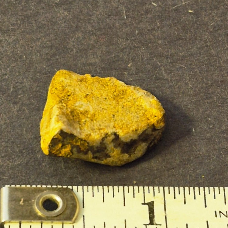 NATURAL COLORADO PLACER GOLD NUGGET MINERAL SPECIMEN 2.5 GRAMS PITKIN COUNTY