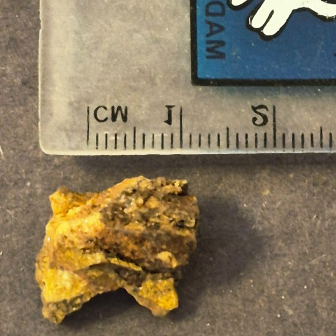 COLORADO PLACER GOLD NUGGET MINERAL SPECIMEN 1.7 GRAMS CRIPPLE CREEK