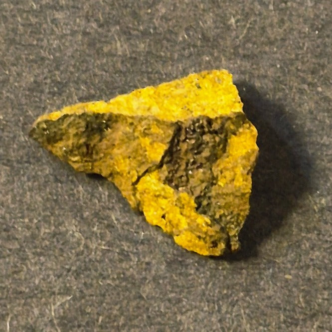 COLORADO PLACER GOLD NUGGET MINERAL SPECIMEN 0.7 GRAMS CRIPPLE CREEK
