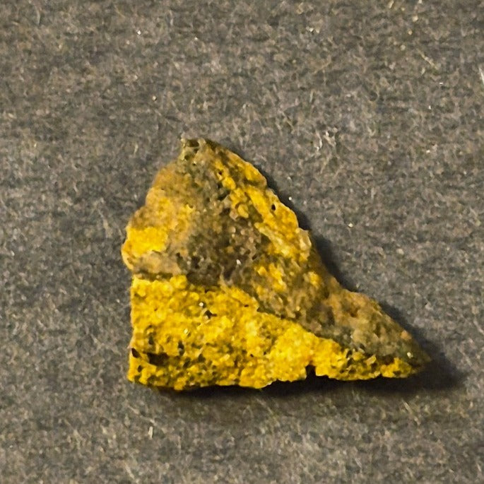 COLORADO PLACER GOLD NUGGET MINERAL SPECIMEN 0.7 GRAMS CRIPPLE CREEK