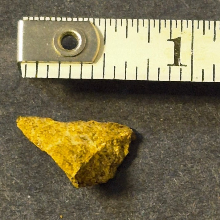 COLORADO PLACER GOLD NUGGET MINERAL SPECIMEN 0.7 GRAMS CRIPPLE CREEK