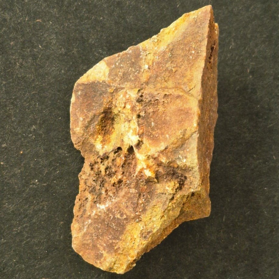 COLORADO QUARTZ SILVER GOLD MINERAL SPECIMEN ROASTED GOLD ORE CRIPPLE CREEK
